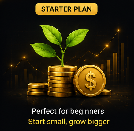 Starter Plan